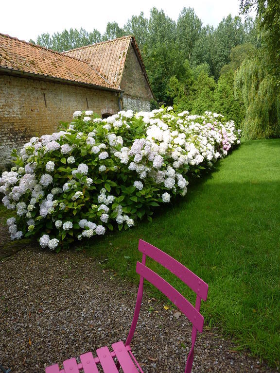 Le Moulin De Tigny Bed & Breakfast Bagian luar foto